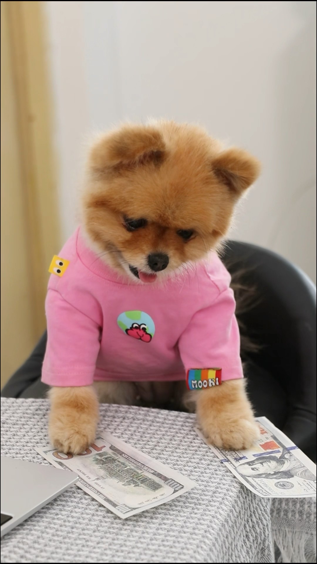 Coco and money bought their mom the cutest phone in the wotld????#valentinesday #cococutiepom