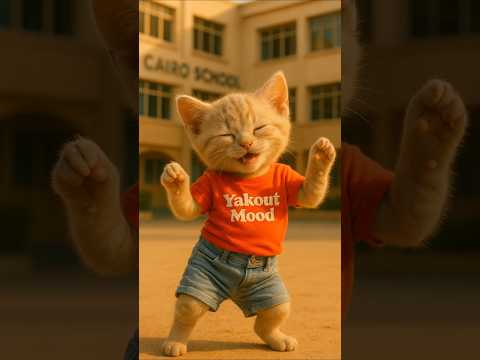 هو انت منين عارف شارع الحلوين       مدينة الجامدين