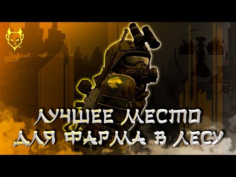 КАК ФАРМИТЬ В STALCRAFT 2023 (ЛЕС)