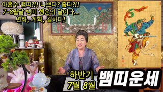 날카로운 지혜의 상징인 하반기 7~8월 뱀띠운세!!