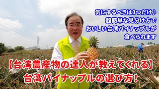 台湾農産物の達人が教えてくれる 台湾パイナップルの選び方 気にするべきは3つだけ 超簡単な見分け方でおいしい台湾パイナップルが食べられます Youtube 台湾農産物の達人が教えてくれる 台湾パイナップルの選び方 気にするべきは3つだけ 超簡単な見分け方でおいしい台湾パイナップルが食べられます Youtube