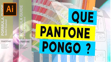 Que PANTONE uso? en illustrator cc2022
