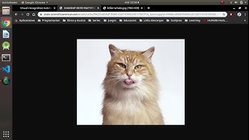 Visual Recognition with IBM Watson