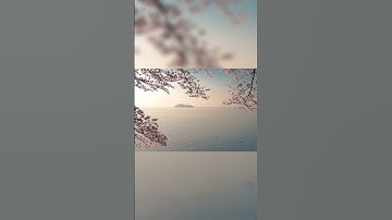 سورة التحريم بصوت ماهر المعيقلي كامله ف القناه