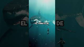 Un rey que le temen solo por sus dientes #informativos #educativa #animales #shorts
