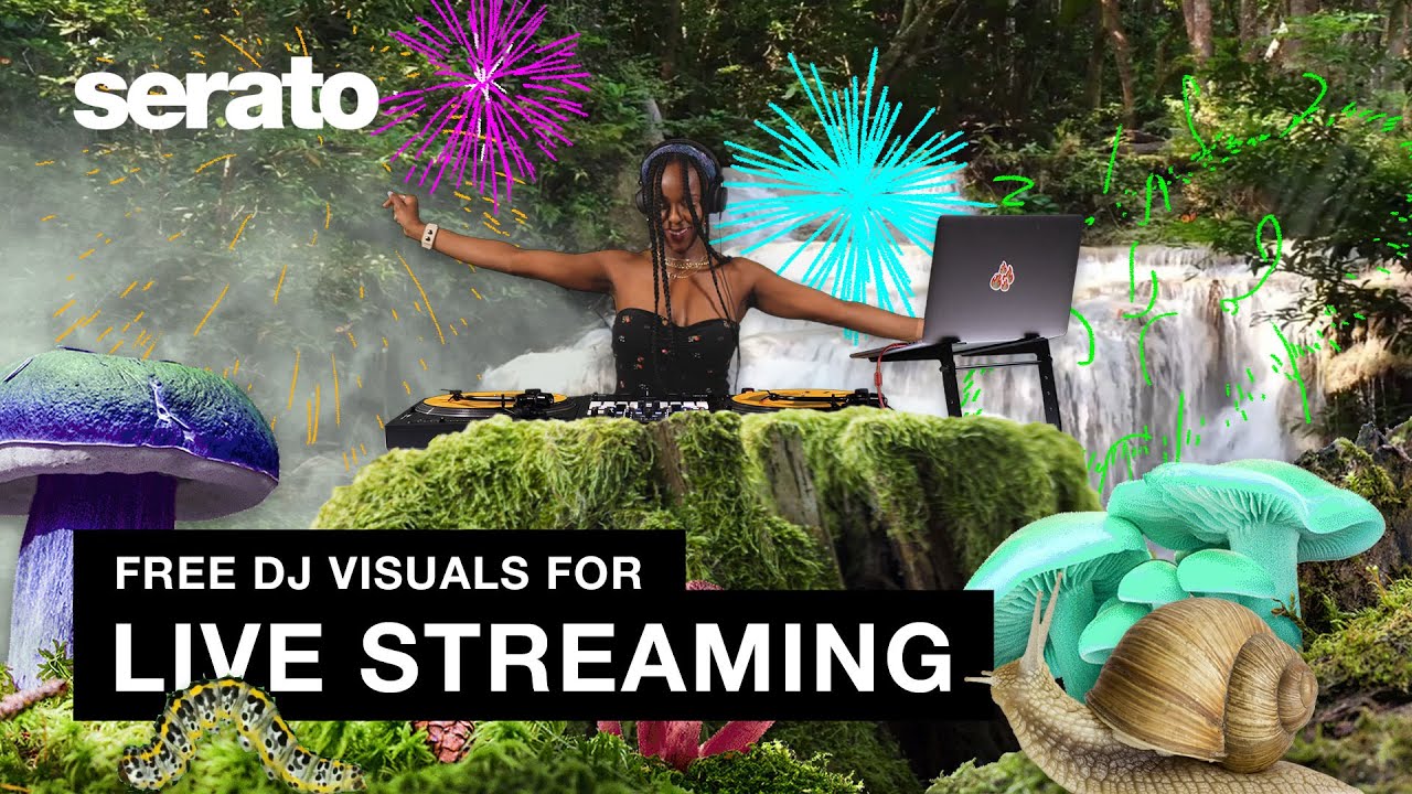 Using the Serato 'Now Playing' Twitch extension – Serato Support