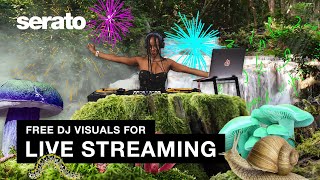 Free DJ Visuals for Live Streaming feat. DJ Reborn