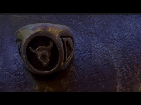 captain cow『blue moon』(Official Music Video)