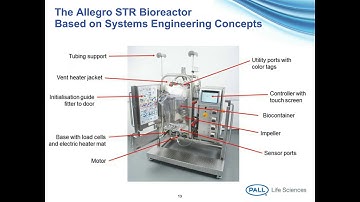 Design, Characterization, and Scale-Up Strategy for a New Single-Use Production-Scale Bioreactor