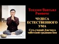 Тендзин Вангьял Ринпоче. Чудеса естественного ума. Суть учений Дзогчен в тибетской традиции Бон