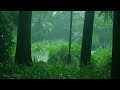 Rain in the forest path2 forest wooden house sleep relax meditate study work asmr