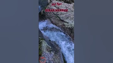 آيات من سورة مريم بصوت الشيخ عبد الرحمن العبد القادر
