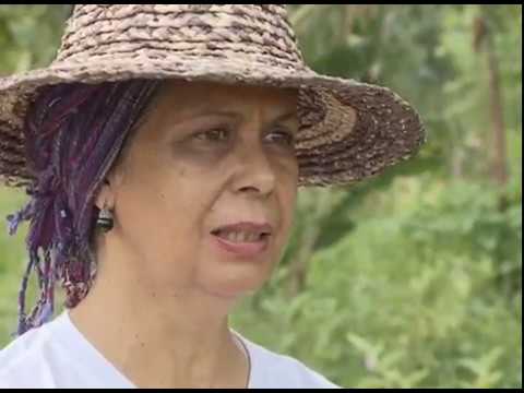 Meio Ambiente - Água como recurso (02/12/17)