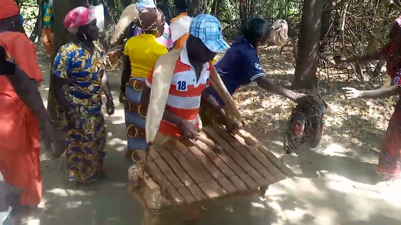 POUNDJERIGUE DE DRISSA A KASSERE