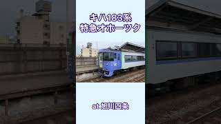 【ハイデッカーグリーン】キハ183系特急オホーツク　旭川四条駅通過