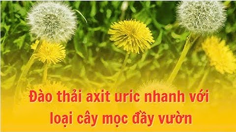 Đào thải axit uric nhanh với loại cây mọc đầy vườn | Báo Lao Động