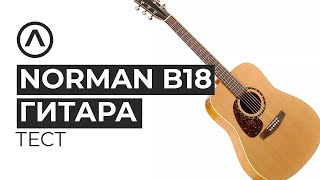Щупаем канадскую акустическую гитару Norman Protege B18 Cedar. Понравится ли звук?