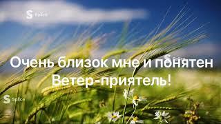 ветер приятель. Караоке. В час когда город ещё видит сны и просыпается солнце