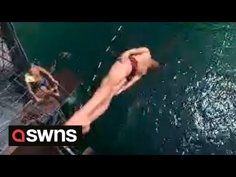 Talented teen diver makes a splash with an incredible 15m (50ft) dive from a springboard | SWNS