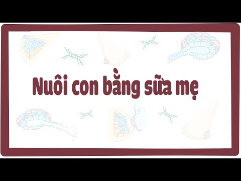 Nuôi con bằng sữa mẹ