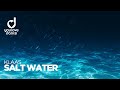 Miniature de la vidéo de la chanson Salt Water