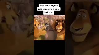 #мвс #поліція #поліціяукраїни #патрульнаполіція #патрульнаполіціяукраїни #патрульная_полиция