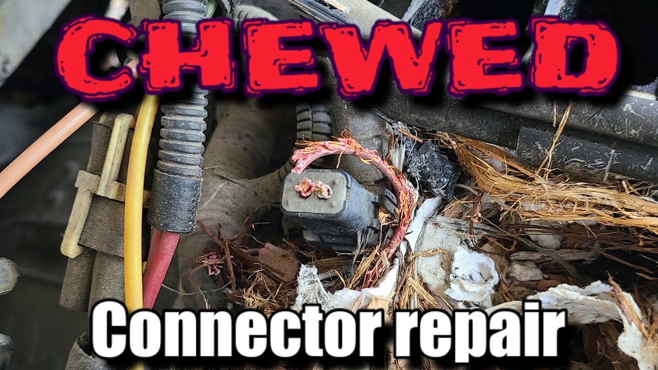 Repair injector connectors chewed by rats YouTube