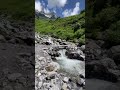 Crossing this Spring Water to go across in Valley of Flowers . #springwater #valleyofflowers