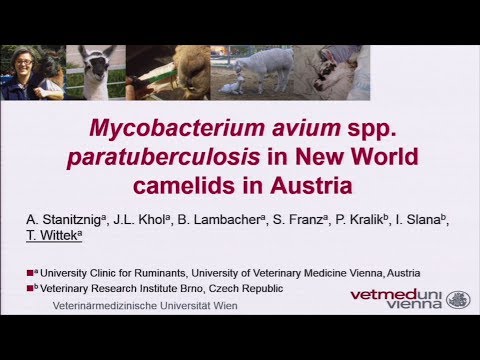 Video: Dinamica Gazdă A Mycobacterium Avium Ssp. Infecția Cu Paratuberculoză La Bovine: Unde Contează Timpul și Locul