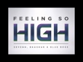 Miniature de la vidéo de la chanson Feeling So High (Extended Mix)