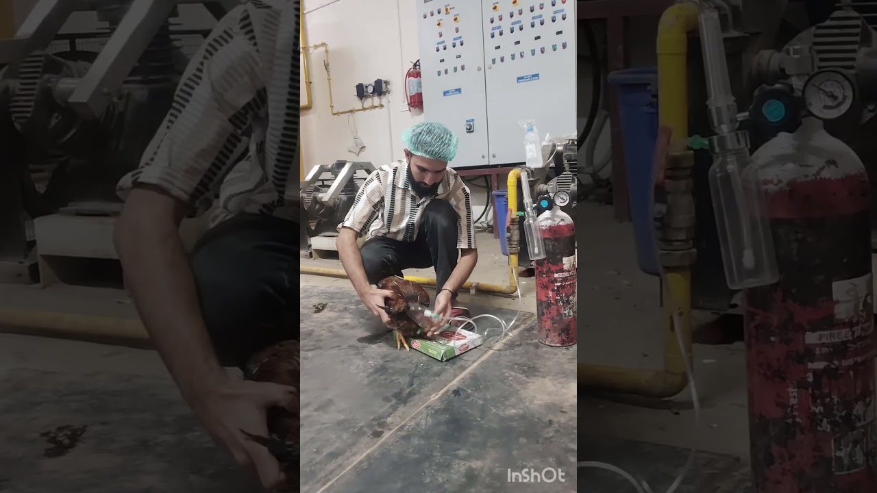 doctor 🆚 patients