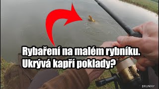 Rybaření na malém rybníku s nečekanými kapry! Lov kapra na boilies. Jaro 2024