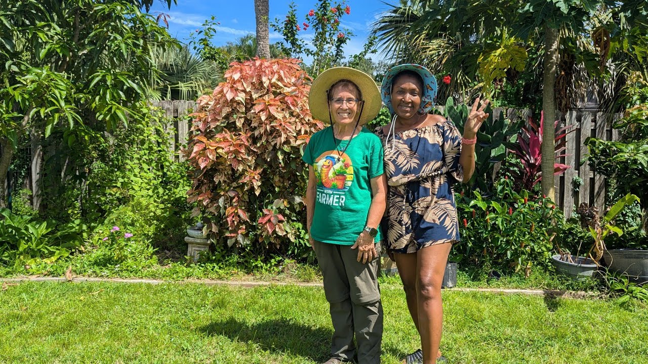 Чай для уничтожения глистов — идеальное органическое решение для борьбы с вредителями — почему эт...