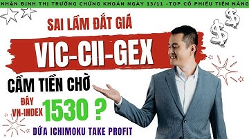 Chứng khoán hôm nay: Sai lầm đắt giá, cắt lỗ VIC GEX CII trong sợ hãi, cầm tiền chờ đáy Vnindex 1530