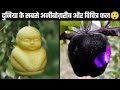 दुनिया के 10 सबसे अजीबोग़रीब फल और सब्जियाँ | 10 Most Strange Fruits and Vegetables in World