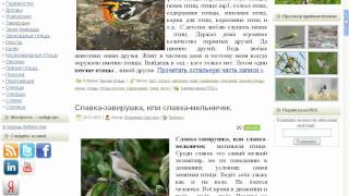 Кнопки для Wordpress. Кнопки для Wordpress.