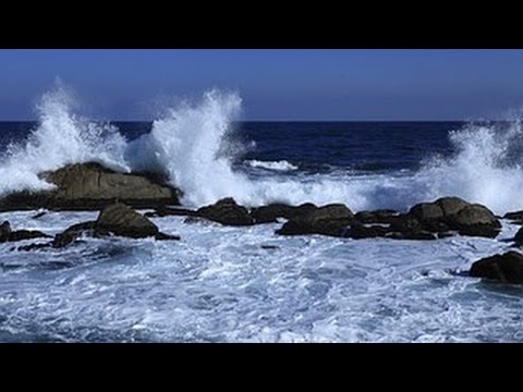 Vidéo: Trop De Bateaux 