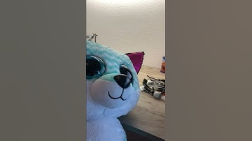 Motion sensor - Raspberry Pi 4