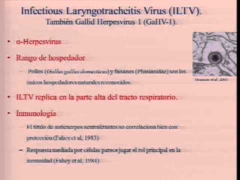 laringotraqueitis síntomas de diabetes
