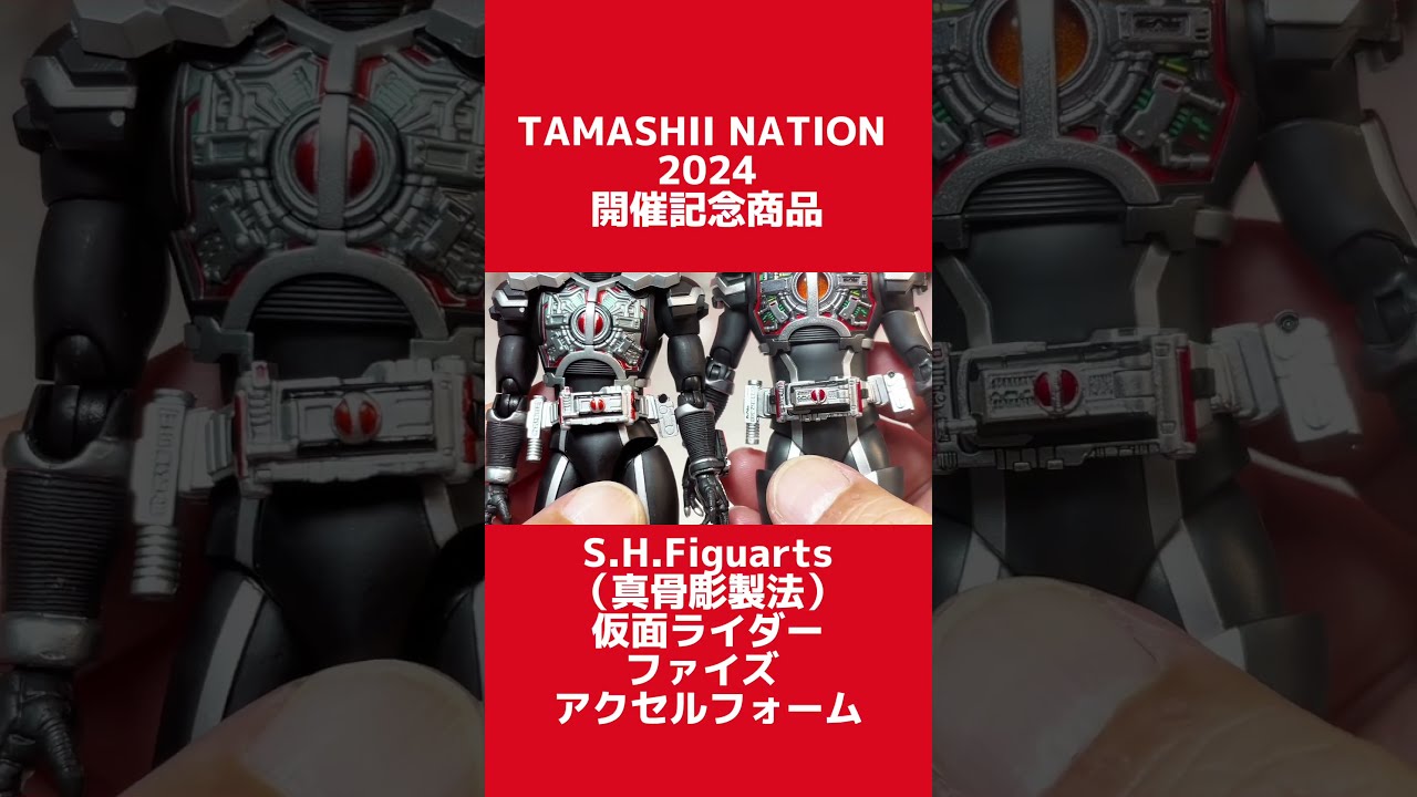 S.H.Figuarts（真骨彫製法） 仮面ライダーファイズ アクセル