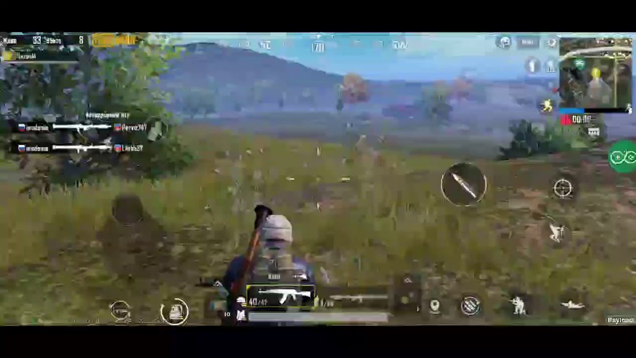 тест на пабгера