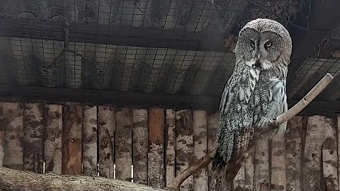 Парк птиц/ Малинки/ Что по цене?