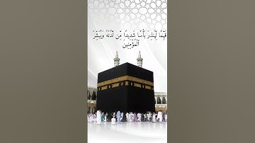 تلاوة خاشعة من سورة الكهف بصوت ماهر المعيقلي | راحة للقلب والروح 🌿📖