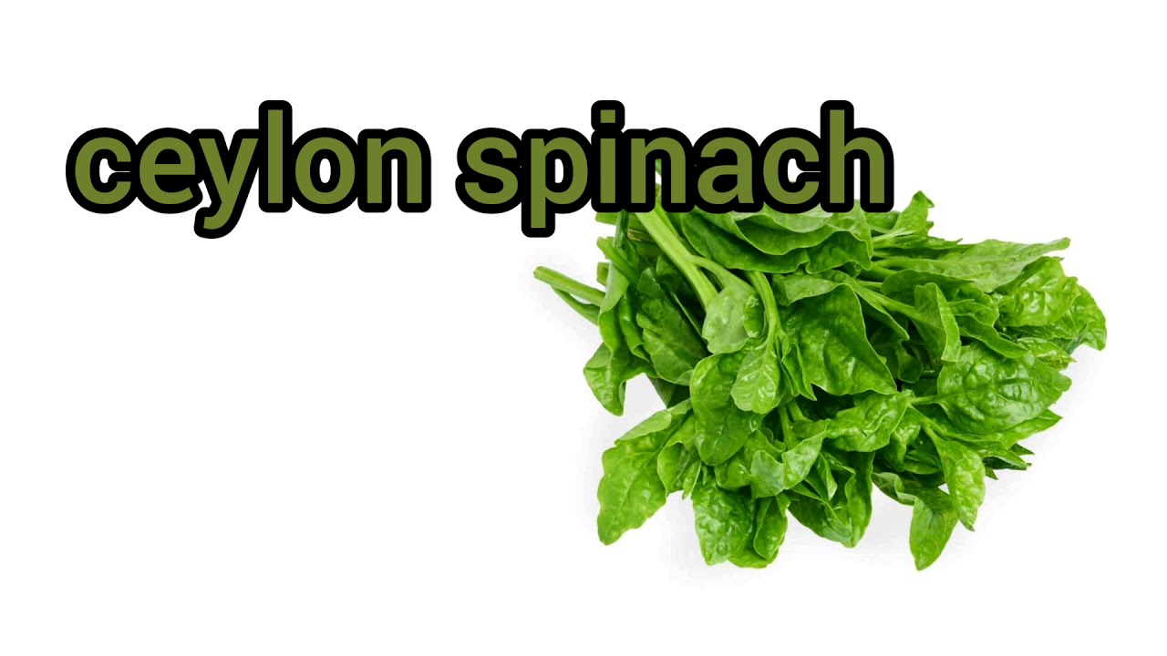 How to Pronounce Ceylon spinach in British English YouTube
