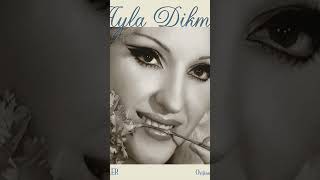 Ayla Dikmen - Anlamazdın