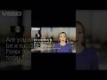 Master Forex Trading with Strategy Doge Traders! #trading