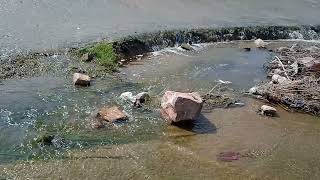 Singanamala Cheruvu. 28122021