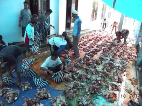 Hari Raya Idul Adha di MJK 2014 - YouTube