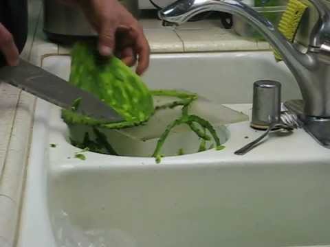  Cactus Peeler (Pelador de Nopales) - 1 unit: Home & Kitchen
