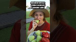 Download Mp3 REACTION OF FOREIGNERS TRYING WATER GUAVA FOR THE FIRST TIME IN INDONESIA Gudang lagu Download Mp3 REACTION OF FOREIGNERS TRYING WATER GUAVA FOR THE FIRST TIME IN INDONESIA